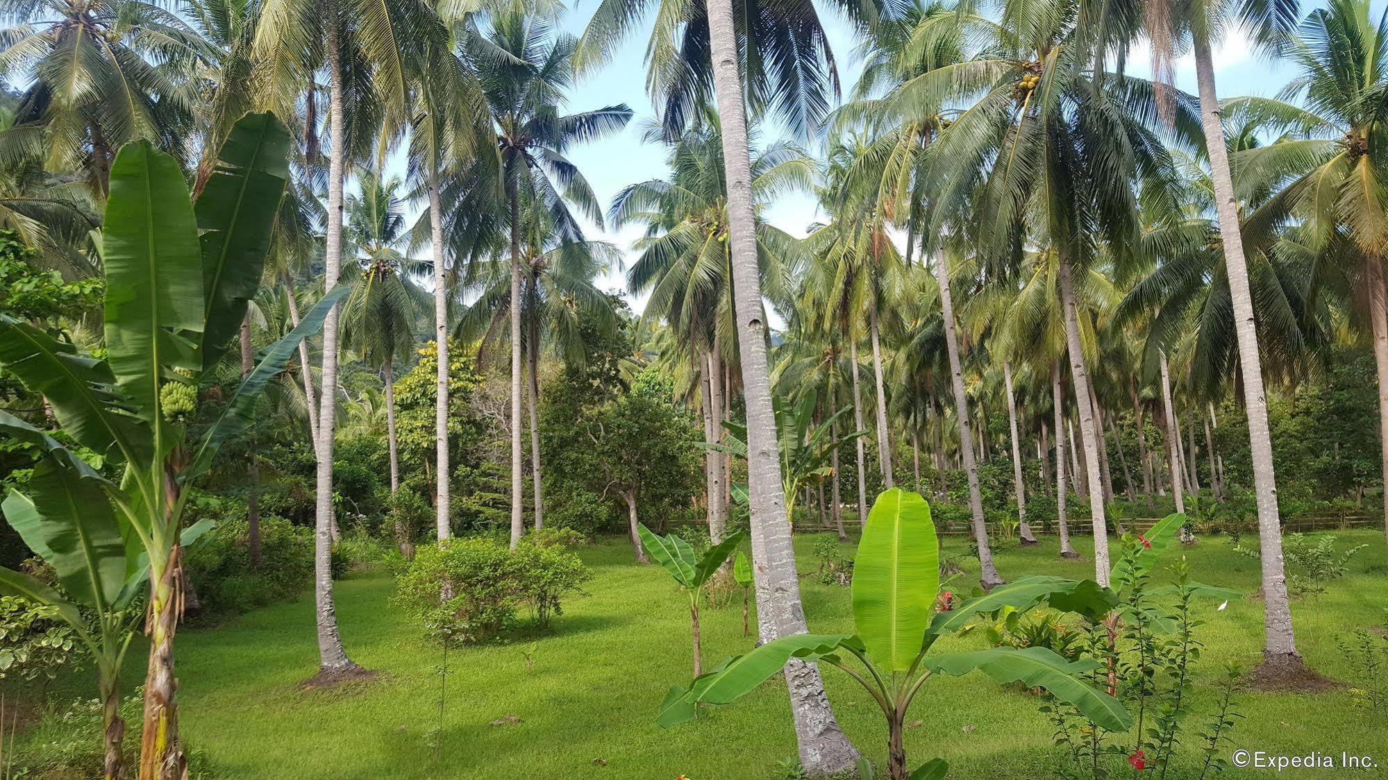Mangrove Resort Puerto Princesa Zewnętrze zdjęcie