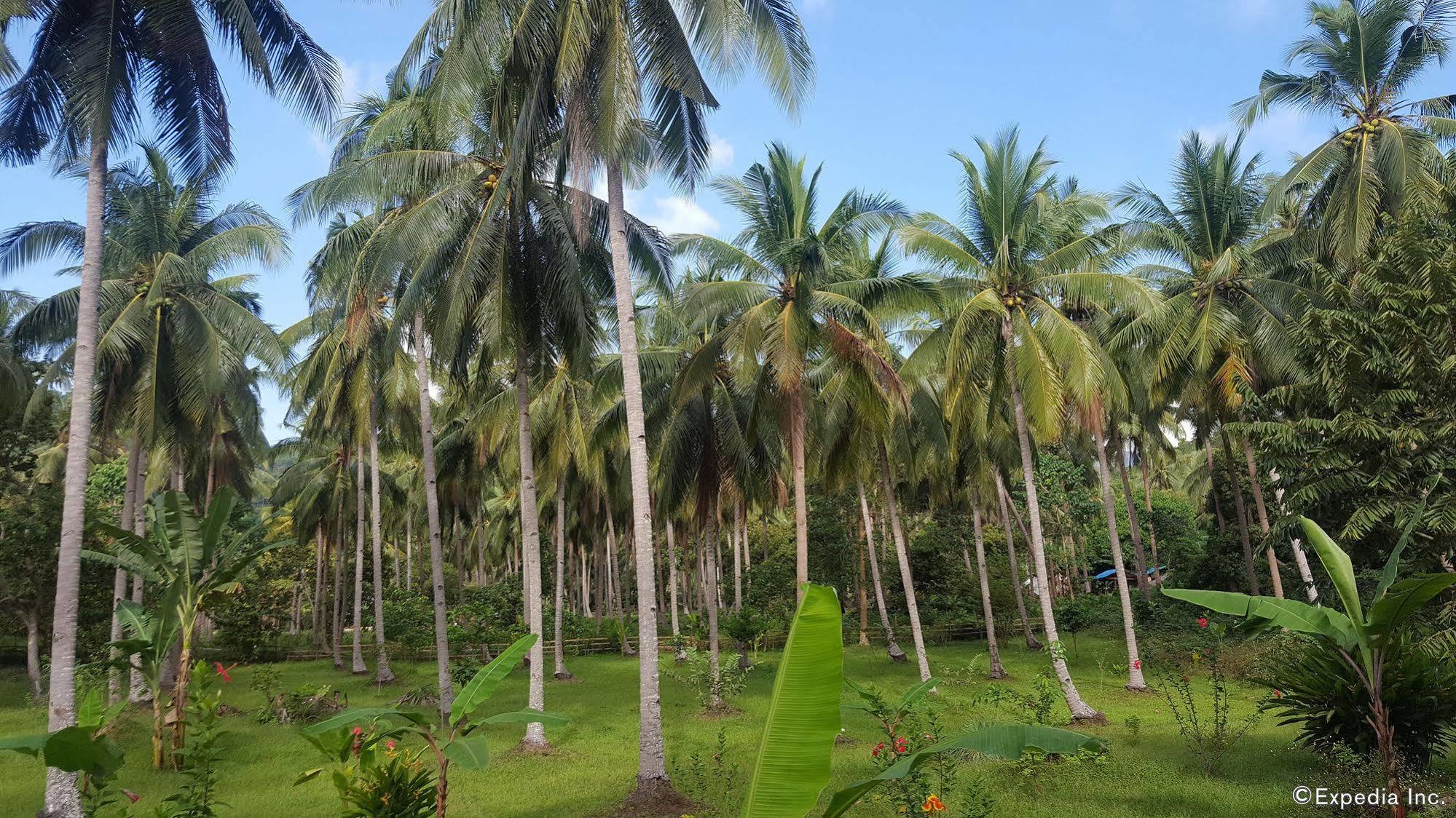 Mangrove Resort Puerto Princesa Zewnętrze zdjęcie
